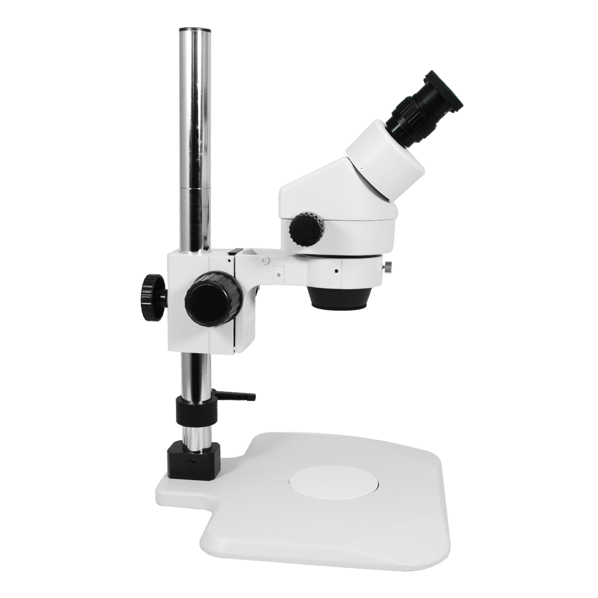 Stereo Microscope